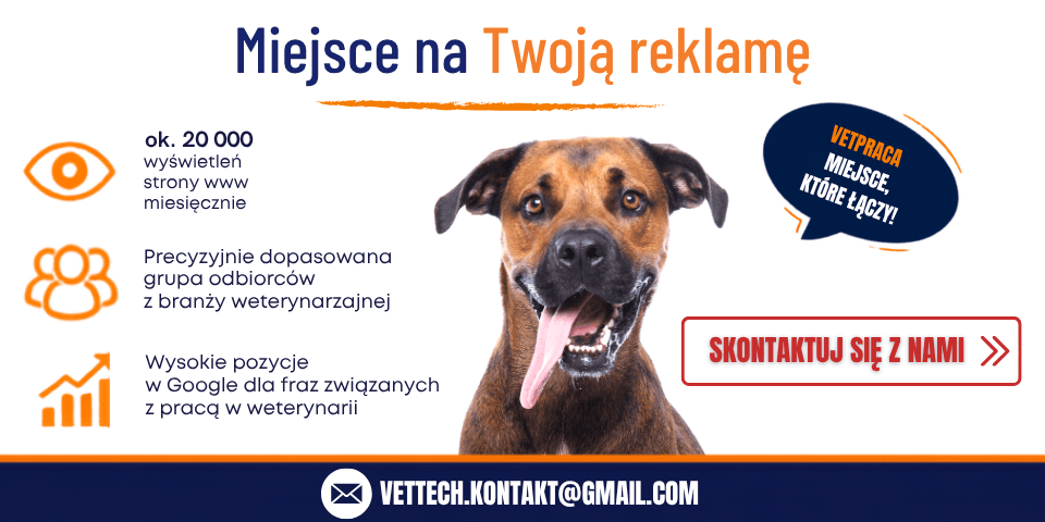 Miejsce na Twoją reklamę